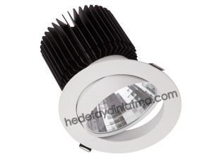 30w Cob Led Downlight Armatür