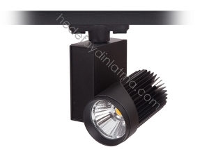 30w Ray Tipi Led Spot