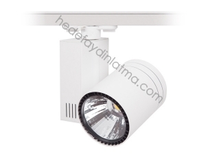 30w Ray Tipi Led Spot