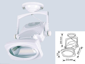 Alüminyum Gövde Metal Halide