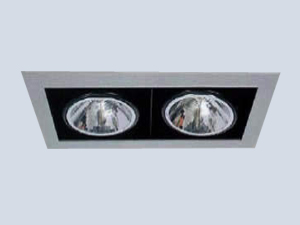 Çiftli Downlight Armatür