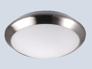 Satin Nikel Tavan Armatür