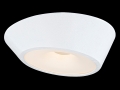 Pail One Ceiling Lighting