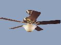 Seville Special 5 Sleeves Cherry Ceiling fan