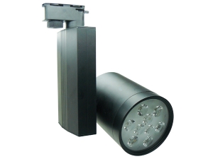 12x1 w Power Led Spot