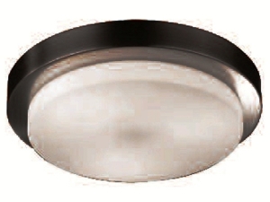 23 cm Stainless Steel Ceiling Lighting