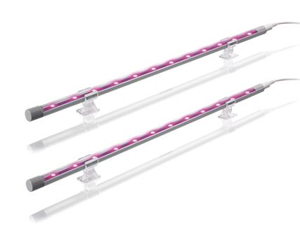 2-Colored LED Lights
