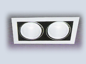 2'li Metal Halide
