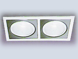 2'li Metal Halide