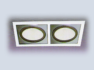 2'li Metal Halide