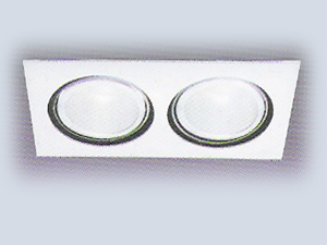 2'li Metal Halide