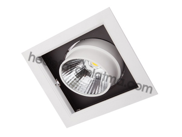 30w Cob Led Downlight Armatür