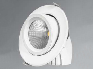 30w Cob Led Salyangoz Armatür