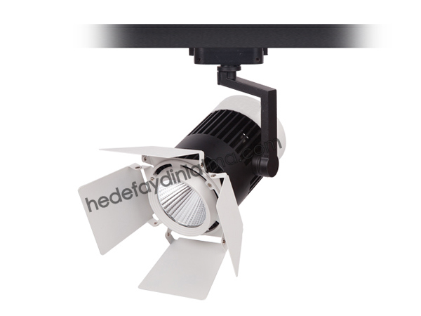 30w Ray Tipi Led Spot