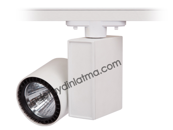 30w Ray Tipi Led Spot