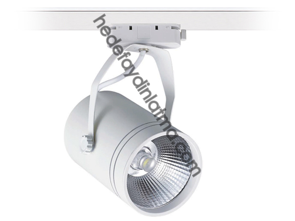 33w Ray Tipi Led Spot