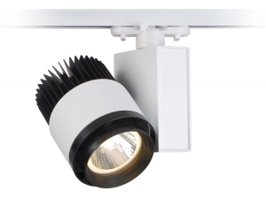40w Ray Tipi Led Spot