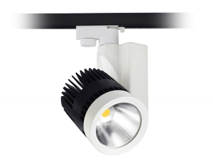 40w Ray Tipi Led Spot