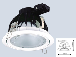 70W  Metal Halide Downlight