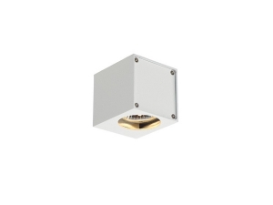 Altra Dıce WL-1 Ceiling Armature