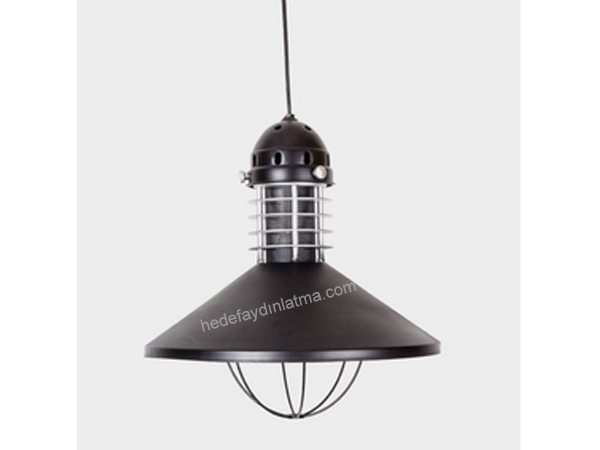 Basal Large Conical Pendulum Wire