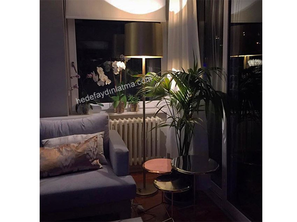 Brass Floor Lamp