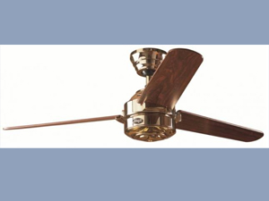 Carera Ceiling Fan