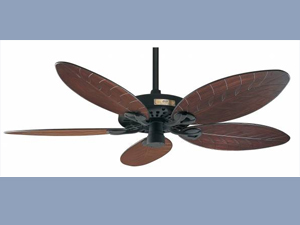 Ceiling Fan