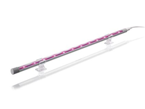 Colored LED Light Line