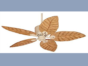 Ceiling Fan