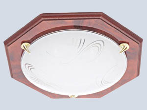 Plafond Lighting