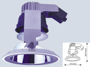 Hareketli Par 38 Downlight