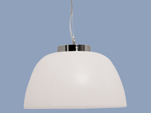 White Droop