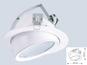 Metal Gövde Downlight