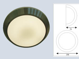Metallic Body Ceiling Lamp