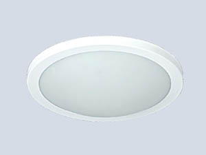 Oval Beyaz Tavan aydınlatma