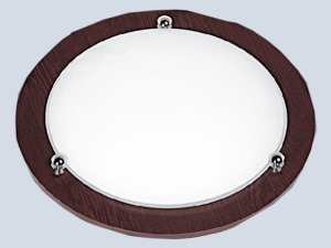 Elliptical Plafond Lighting