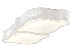 Pool Modern 2\'li Ceiling Lighting