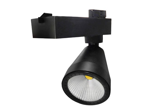 Ray Tipi Siyah Led Spot 34w