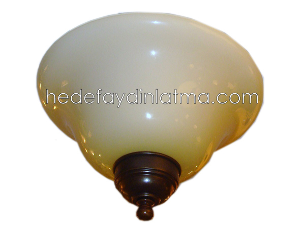 Roof Ceiling Light