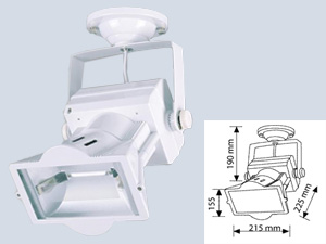 Rx7s Metal Halide