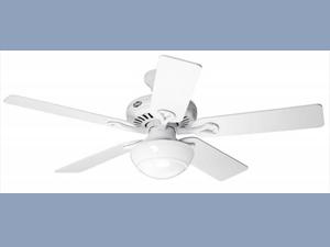 Ceiling Fan