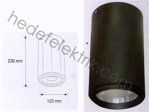 Metal Halide Lamp