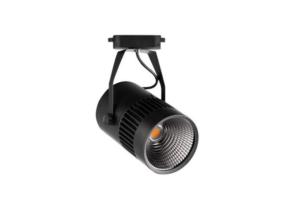 Siyah Modern Ray Spot