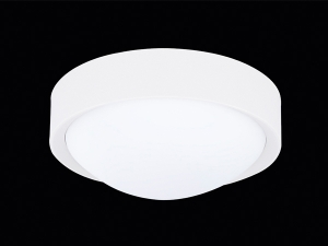 Tanitri White Ceiling Lighting