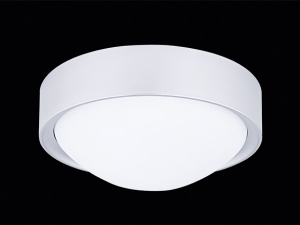 Tanitri Metal Modern Ceiling Lighting