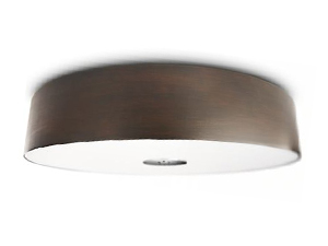 Ceiling Fixture