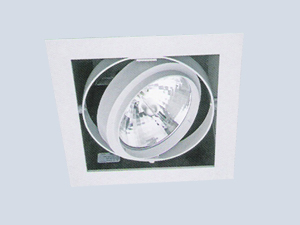 Tekli Downlight Armatür