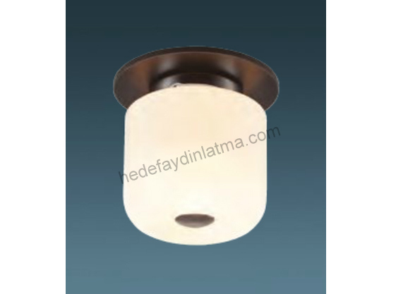 Tekli Klasik Opal Camlı Tavan Armatürü