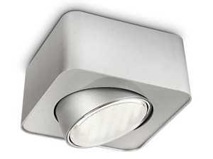 Single Ceiling Spot